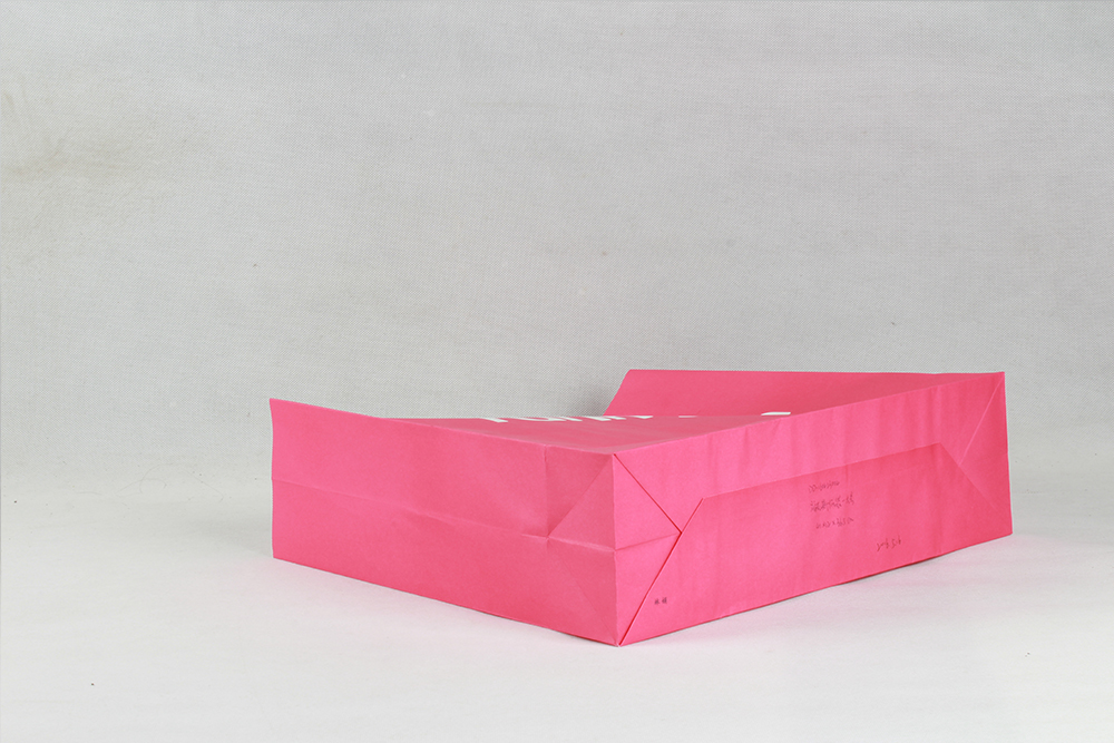 時(shí)尚簡約型牛皮紙袋 funky fish