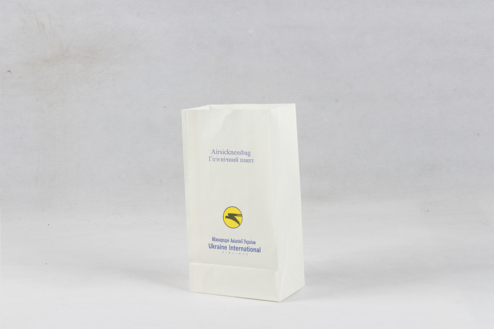 簡(jiǎn)約型牛皮紙袋 Ukraine International