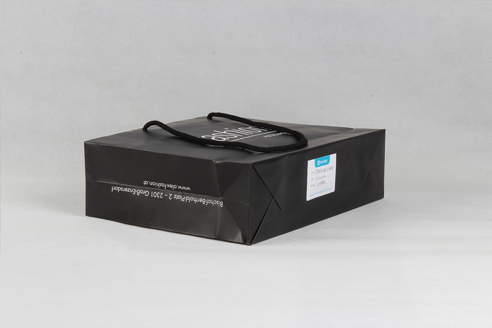 高端禮品銅版紙袋 FASHION