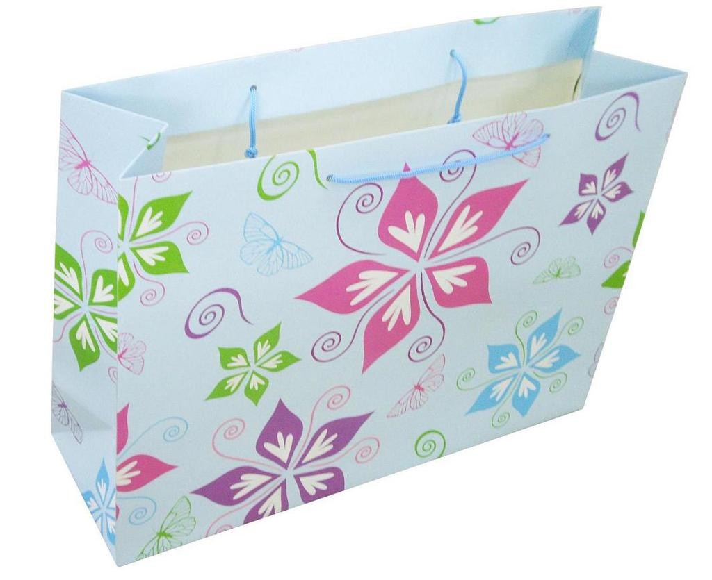 怎么區(qū)分牛皮紙的腹膜紙袋和不腹膜紙袋？